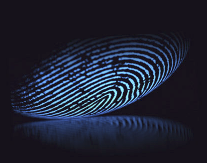 fingerprint