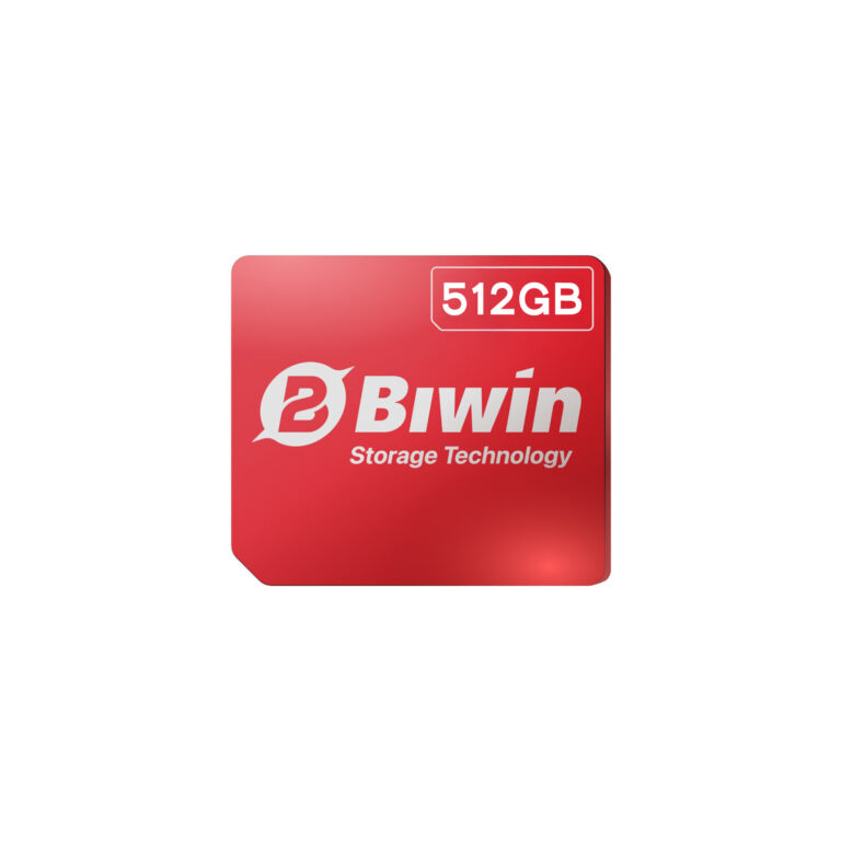 Biwin-Mini-SSD
